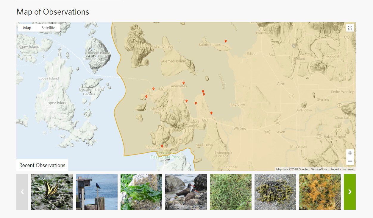 iNaturalist screenshot June 23.jpg